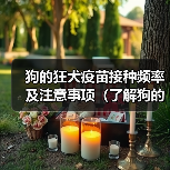 狗的狂犬疫苗接种频率及注意事项(了解狗的狂犬疫苗接种时间,保护宠物健康)(图4) 狗的狂犬疫苗接种频率及注意事项(了解狗的狂犬疫苗接种时间,保护宠物健康)(图4)