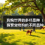 狗狗世界的多样品种(探索宠物狗的不同品种和特点)(图3) 狗狗世界的多样品种(探索宠物狗的不同品种和特点)(图3)