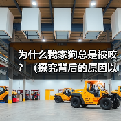 为什么我家狗总是被咬?(探究背后的原因以及如何保护我们的宠物)(图1) 为什么我家狗总是被咬?(探究背后的原因以及如何保护我们的宠物)(图1)