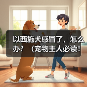 以西施犬感冒了,怎么办?(宠物主人必读!掌握这些关键信息,救救你的萌宠!)(图3) 以西施犬感冒了,怎么办?(宠物主人必读!掌握这些关键信息,救救你的萌宠!)(图3)