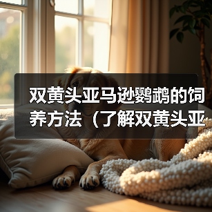 双黄头亚马逊鹦鹉的饲养方法(了解双黄头亚马逊鹦鹉,创造温馨家园)(图4) 双黄头亚马逊鹦鹉的饲养方法(了解双黄头亚马逊鹦鹉,创造温馨家园)(图4)