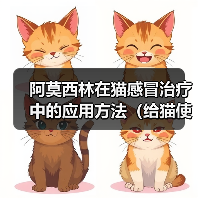 阿莫西林在猫感冒治疗中的应用方法(给猫使用阿莫西林治疗感冒的正确方法)(图4) 阿莫西林在猫感冒治疗中的应用方法(给猫使用阿莫西林治疗感冒的正确方法)(图4)