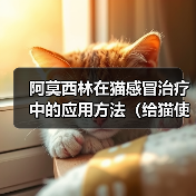 阿莫西林在猫感冒治疗中的应用方法(给猫使用阿莫西林治疗感冒的正确方法)(图3) 阿莫西林在猫感冒治疗中的应用方法(给猫使用阿莫西林治疗感冒的正确方法)(图3)