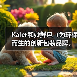 Kaler和妙鲜包(为环保而生的创新包装品牌,以可持续发展引领行业转型升级)(图3) Kaler和妙鲜包(为环保而生的创新包装品牌,以可持续发展引领行业转型升级)(图3)