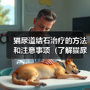 猫尿道结石治疗的方法和注意事项（了解猫尿道结石的成因和症状，合理选择治疗方法）（图2）