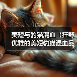美短与豹猫混血(狂野优雅的美短豹猫混血品种的诞生与特征)(图3) 美短与豹猫混血(狂野优雅的美短豹猫混血品种的诞生与特征)(图3)