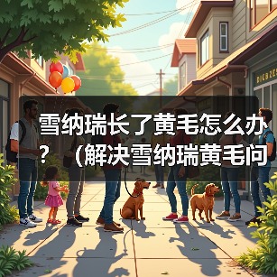 雪纳瑞长了黄毛怎么办？（解决雪纳瑞黄毛问题的实用方法）（图3）