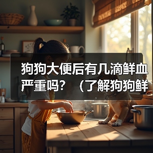 狗狗大便后有几滴鲜血严重吗？（了解狗狗鲜血便情况，及时保护它的健康）（图1）