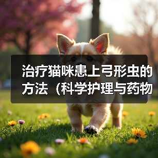 治疗猫咪患上弓形虫的方法(科学护理与药物治疗,)(图3) 治疗猫咪患上弓形虫的方法(科学护理与药物治疗,)(图3)