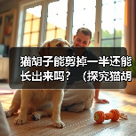 猫胡子能剪掉一半还能长出来吗?(探究猫胡子再生能力的神奇之处)(图1) 猫胡子能剪掉一半还能长出来吗?(探究猫胡子再生能力的神奇之处)(图1)