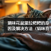 猫咪花盆里拉粑粑的原因及解决方法(猫咪喜欢在花盆里解决生理需求的原因和如何改善这一行为)(图1) 猫咪花盆里拉粑粑的原因及解决方法(猫咪喜欢在花盆里解决生理需求的原因和如何改善这一行为)(图1)