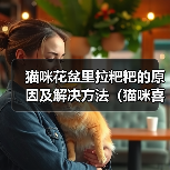 猫咪花盆里拉粑粑的原因及解决方法(猫咪喜欢在花盆里解决生理需求的原因和如何改善这一行为)(图4) 猫咪花盆里拉粑粑的原因及解决方法(猫咪喜欢在花盆里解决生理需求的原因和如何改善这一行为)(图4)