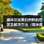 猫咪花盆里拉粑粑的原因及解决方法(猫咪喜欢在花盆里解决生理需求的原因和如何改善这一行为)(图2) 猫咪花盆里拉粑粑的原因及解决方法(猫咪喜欢在花盆里解决生理需求的原因和如何改善这一行为)(图2)