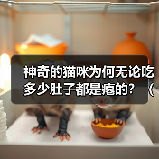 神奇的猫咪为何无论吃多少肚子都是瘪的？（揭秘猫咪消化系统的奥秘，解析猫咪“瘪肚现象”）（图3）