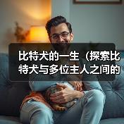 比特犬的一生(探索比特犬与多位主人之间的情感纽带)(图3) 比特犬的一生(探索比特犬与多位主人之间的情感纽带)(图3)