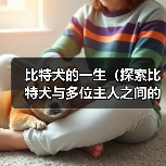 比特犬的一生(探索比特犬与多位主人之间的情感纽带)(图4) 比特犬的一生(探索比特犬与多位主人之间的情感纽带)(图4)
