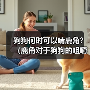 狗狗何时可以啃鹿角?(鹿角对于狗狗的咀嚼行为和口腔健康的影响)(图2) 狗狗何时可以啃鹿角?(鹿角对于狗狗的咀嚼行为和口腔健康的影响)(图2)