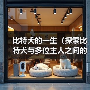 比特犬的一生(探索比特犬与多位主人之间的情感纽带)(图1) 比特犬的一生(探索比特犬与多位主人之间的情感纽带)(图1)