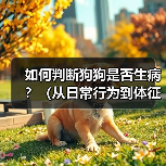 如何判断狗狗是否生病?(从日常行为到体征,教你识别狗狗的健康状态)(图3) 如何判断狗狗是否生病?(从日常行为到体征,教你识别狗狗的健康状态)(图3)
