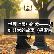 世界上最小的犬——吉娃娃犬的故事(探索吉娃娃犬)(图3) 世界上最小的犬——吉娃娃犬的故事(探索吉娃娃犬)(图3)
