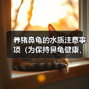 养猪鼻龟的水质注意事项(为保持鼻龟健康,水质是关键!)(图1) 养猪鼻龟的水质注意事项(为保持鼻龟健康,水质是关键!)(图1)