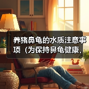 养猪鼻龟的水质注意事项(为保持鼻龟健康,水质是关键!)(图4) 养猪鼻龟的水质注意事项(为保持鼻龟健康,水质是关键!)(图4)