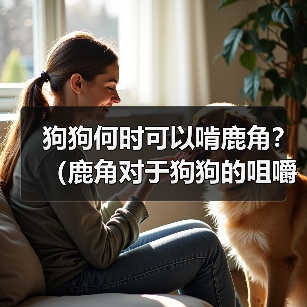 狗狗何时可以啃鹿角?(鹿角对于狗狗的咀嚼行为和口腔健康的影响)(图3) 狗狗何时可以啃鹿角?(鹿角对于狗狗的咀嚼行为和口腔健康的影响)(图3)