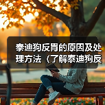 泰迪狗反胃的原因及处理方法(了解泰迪狗反胃的常见原因以及预防措施)(图1) 泰迪狗反胃的原因及处理方法(了解泰迪狗反胃的常见原因以及预防措施)(图1)