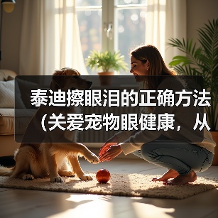 泰迪擦眼泪的正确方法（关爱宠物眼健康，从正确擦拭泰迪眼泪开始）（图1）