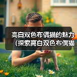 高白双色布偶猫的魅力(探索高白双色布偶猫的独特魅力,迷人的品种特征和可爱的个性)(图3) 高白双色布偶猫的魅力(探索高白双色布偶猫的独特魅力,迷人的品种特征和可爱的个性)(图3)