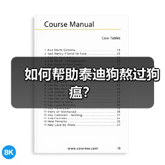 如何帮助泰迪狗熬过狗瘟?(图1) 如何帮助泰迪狗熬过狗瘟?(图1)