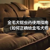金毛犬驱虫药使用指南(如何正确给金毛犬喂食驱虫药)(图1) 金毛犬驱虫药使用指南(如何正确给金毛犬喂食驱虫药)(图1)