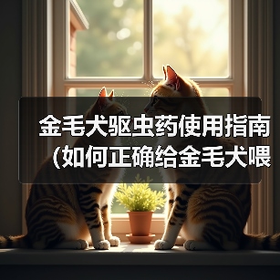 金毛犬驱虫药使用指南(如何正确给金毛犬喂食驱虫药)(图3) 金毛犬驱虫药使用指南(如何正确给金毛犬喂食驱虫药)(图3)