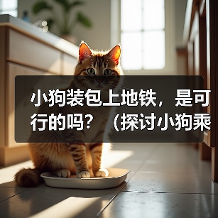 小狗装包上地铁，是可行的吗？（探讨小狗乘坐地铁的问题及相关规定）（图3）