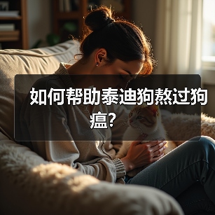如何帮助泰迪狗熬过狗瘟?(图2) 如何帮助泰迪狗熬过狗瘟?(图2)