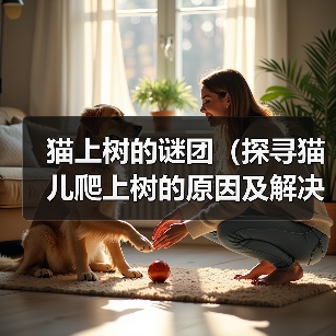 猫上树的谜团(探寻猫儿爬上树的原因及解决办法)(图2) 猫上树的谜团(探寻猫儿爬上树的原因及解决办法)(图2)