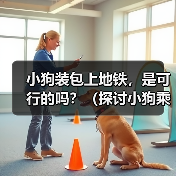 小狗装包上地铁，是可行的吗？（探讨小狗乘坐地铁的问题及相关规定）（图1）