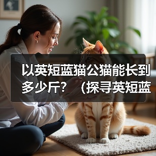 以英短蓝猫公猫能长到多少斤?(探寻英短蓝猫公猫的体重极限及影响因素)(图3) 以英短蓝猫公猫能长到多少斤?(探寻英短蓝猫公猫的体重极限及影响因素)(图3)