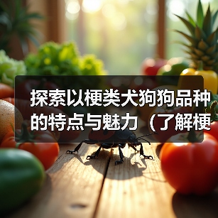 探索以梗类犬狗狗品种的特点与魅力(了解梗类犬狗狗)(图1) 探索以梗类犬狗狗品种的特点与魅力(了解梗类犬狗狗)(图1)