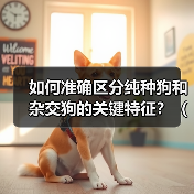 如何准确区分纯种狗和杂交狗的关键特征?(以狗怎么区分纯不纯,一起来看看吧!)(图3) 如何准确区分纯种狗和杂交狗的关键特征?(以狗怎么区分纯不纯,一起来看看吧!)(图3)
