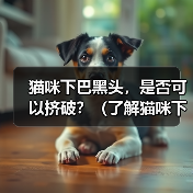 猫咪下巴黑头,是否可以挤破?(了解猫咪下巴黑头的成因及处理方法)(图2) 猫咪下巴黑头,是否可以挤破?(了解猫咪下巴黑头的成因及处理方法)(图2)