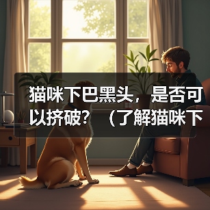 猫咪下巴黑头,是否可以挤破?(了解猫咪下巴黑头的成因及处理方法)(图4) 猫咪下巴黑头,是否可以挤破?(了解猫咪下巴黑头的成因及处理方法)(图4)