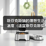 斯芬克斯猫的理想生活温度(适宜斯芬克斯猫生活的温度范围及养护要点)(图2) 斯芬克斯猫的理想生活温度(适宜斯芬克斯猫生活的温度范围及养护要点)(图2)