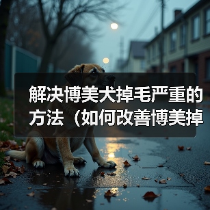 解决博美犬掉毛严重的方法(如何改善博美掉毛?)(图1) 解决博美犬掉毛严重的方法(如何改善博美掉毛?)(图1)