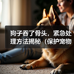 狗子吞了骨头,紧急处理方法揭秘(保护宠物狗的健康与安全,你需要知道的知识点)(图2) 狗子吞了骨头,紧急处理方法揭秘(保护宠物狗的健康与安全,你需要知道的知识点)(图2)