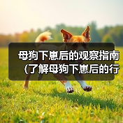 母狗下崽后的观察指南(了解母狗下崽后的行为与需求,帮助你更好地照顾她)(图3) 母狗下崽后的观察指南(了解母狗下崽后的行为与需求,帮助你更好地照顾她)(图3)