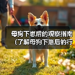 母狗下崽后的观察指南(了解母狗下崽后的行为与需求,帮助你更好地照顾她)(图1) 母狗下崽后的观察指南(了解母狗下崽后的行为与需求,帮助你更好地照顾她)(图1)