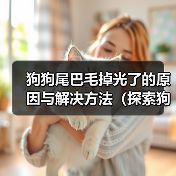 狗狗尾巴毛掉光了的原因与解决方法(探索狗狗尾巴毛掉光的成因以及有效解决方案)(图1) 狗狗尾巴毛掉光了的原因与解决方法(探索狗狗尾巴毛掉光的成因以及有效解决方案)(图1)