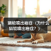 猫能嗅出癌症(为什么猫能嗅出癌症?)(图3) 猫能嗅出癌症(为什么猫能嗅出癌症?)(图3)