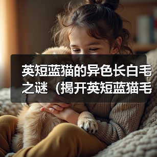 英短蓝猫的异色长白毛之谜（揭开英短蓝猫毛色异变的秘密）（图1）
